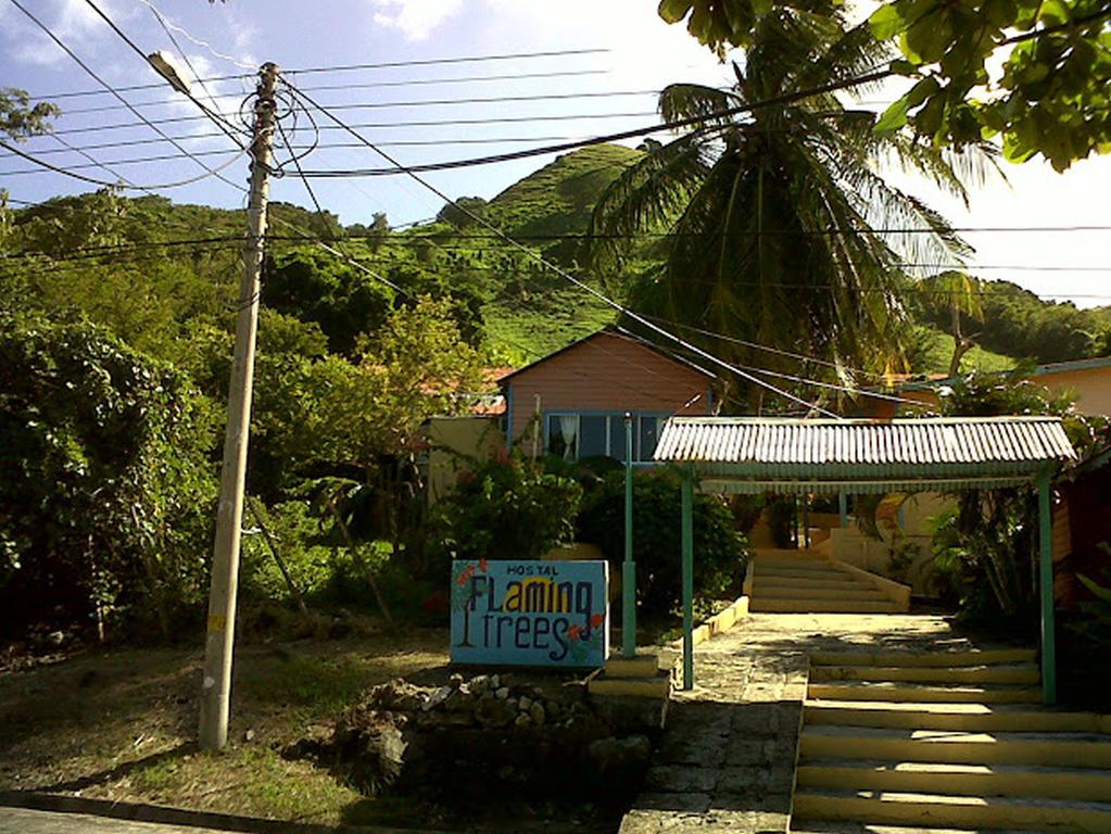 Hotel Flemming Tree Providencia Island 외부 사진