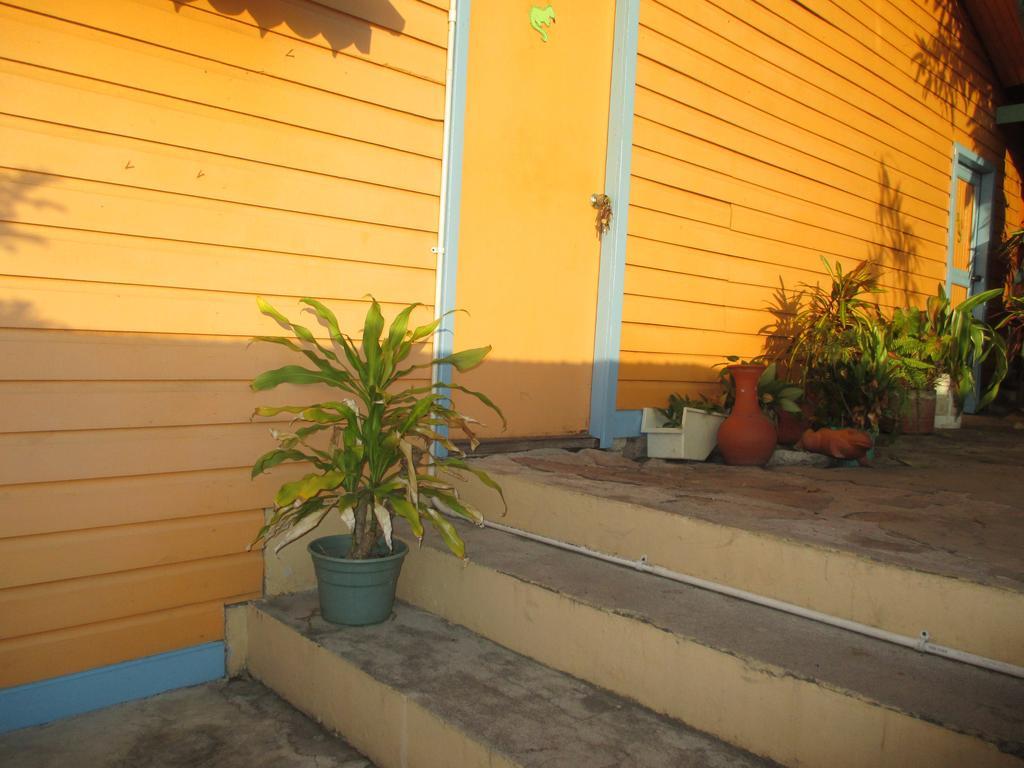 Hotel Flemming Tree Providencia Island 외부 사진