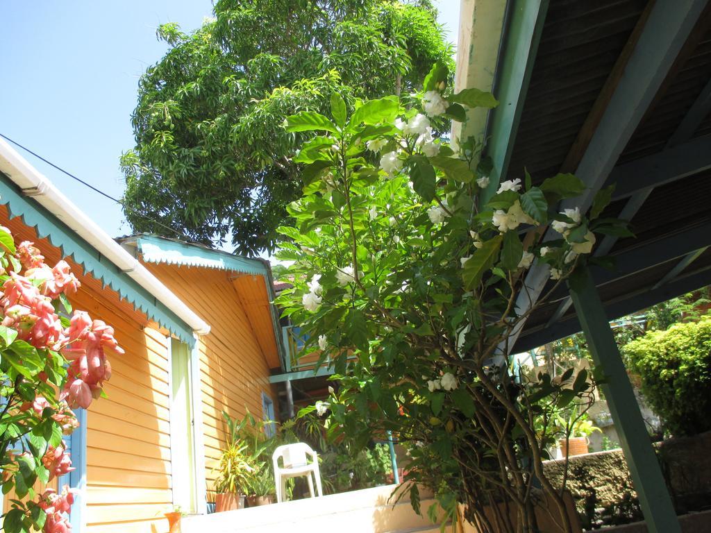 Hotel Flemming Tree Providencia Island 외부 사진