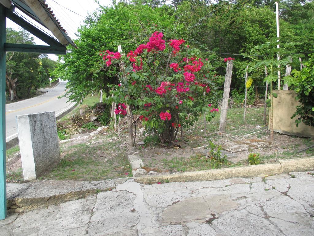 Hotel Flemming Tree Providencia Island 외부 사진