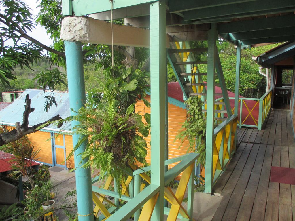 Hotel Flemming Tree Providencia Island 외부 사진