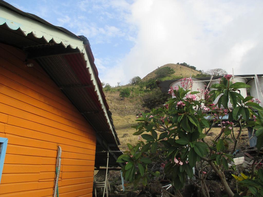Hotel Flemming Tree Providencia Island 외부 사진