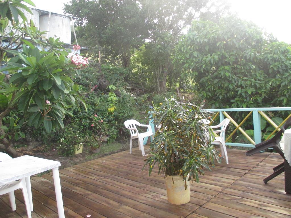 Hotel Flemming Tree Providencia Island 외부 사진