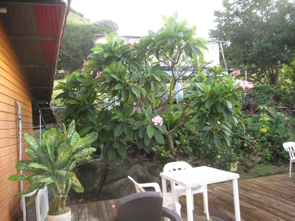 Hotel Flemming Tree Providencia Island 외부 사진