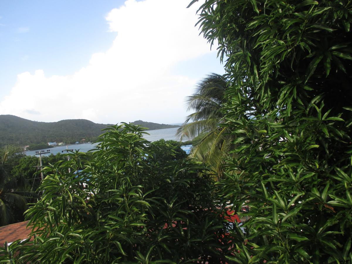 Hotel Flemming Tree Providencia Island 외부 사진